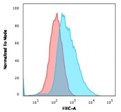 Flow cytometry testing of PFA-fixed human MCF7 cells with Plakoglobin antibody (clone 15F11); Red=isotype control, Blue= Plakoglobin antibody.