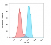 FACS testing of PFA-fixed human MCF-7 cells with FOXA1 antibody (clone FOXA1/1512); Red=isotype control, Blue= FOXA1 antibody.