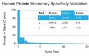 Analysis of HuProt(TM) microarray containing more than 19,000 full-length human proteins using DOG1 antibody (clone DG1/1485). These results demonstrate the foremost specificity of the DG1/1485 mAb. Z- and S- score: The Z-score represents the strength of a signal that an antibody (in combination with a fluorescently-tagged anti-IgG secondary Ab) produces when binding to a particular protein on the HuProt(TM) array. Z-scores are described in units of standard deviations (SD's) above the mean value of all signals generated on that array. If the targets on the HuProt(TM) are arranged in descending order of the Z-score, the S-score is the difference (also in units of SD's) between the Z-scores. The S-score therefore represents the relative target specificity of an Ab to its intended target.