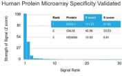 Analysis of HuProt(TM) microarray containing more than 19,000 full-length human proteins using DOG 1 antibody (clone DG1/1484). These results demonstrate the foremost specificity of the DG1/1484 mAb. Z- and S- score: The Z-score represents the strength of a signal that an antibody (in combination with a fluorescently-tagged anti-IgG secondary Ab) produces when binding to a particular protein on the HuProt(TM) array. Z-scores are described in units of standard deviations (SD's) above the mean value of all signals generated on that array. If the targets on the HuProt(TM) are arranged in descending order of the Z-score, the S-score is the difference (also in units of SD's) between the Z-scores. The S-score therefore represents the relative target specificity of an Ab to its intended target.