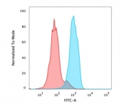 FACS testing of PFA-fixed human MCF-7 cells with FOXA1 antibody (clone FOXA1/1515); Red=isotype control, Blue= FOXA1 antibody.