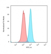 Flow cytometry testing of permeabilized human K562 cells with Moesin antibody (clone MSN/491); Red=isotype control, Blue= Moesin antibody.