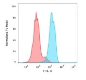 FACS testing of PFA-fixed human MCF-7 cells with FOXA1 antibody (clone FOXA1/1518); Red=isotype control, Blue= FOXA1 antibody.