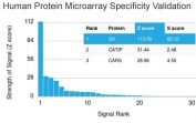 Analysis of HuProt(TM) microarray containing more than 19,000 full-length human proteins using Growth Hormone antibody (clone GH/1371). These results demonstrate the foremost specificity of the GH/1371 mAb. Z- and S- score: The Z-score represents the strength of a signal that an antibody (in combination with a fluorescently-tagged anti-IgG secondary Ab) produces when binding to a particular protein on the HuProt(TM) array. Z-scores are described in units of standard deviations (SD's) above the mean value of all signals generated on that array. If the targets on the HuProt(TM) are arranged in descending order of the Z-score, the S-score is the difference (also in units of SD's) between the Z-scores. The S-score therefore represents the relative target specificity of an Ab to its intended target.