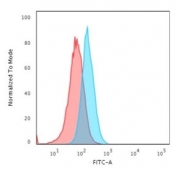 Flow cytometry testing of fixed and permeabilized human T98G cells with S100A1 antibody (clone S1-61); Red=isotype control, Blue= S100A1 antibody.
