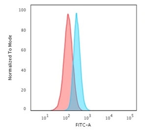 Flow cytometry staining of human HeLa cells with Spectrin beta III antibody; Red=isotype control, Blue= Spectrin beta III antibody.