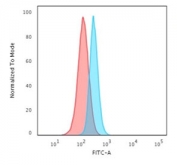 Flow cytometry staining of human HeLa cells with Spectrin beta III antibody; Red=isotype control, Blue= Spectrin beta III antibody.