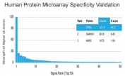Analysis of HuProt(TM) microarray containing more than 19,000 full-length human proteins using Podoplanin antibody (clone PDPN/1433). These results demonstrate the foremost specificity of the PDPN/1433 mAb. Z- and S- score: The Z-score represents the strength of a signal that an antibody (in combination with a fluorescently-tagged anti-IgG secondary Ab) produces when binding to a particular protein on the HuProt(TM) array. Z-scores are described in units of standard deviations (SD's) above the mean value of all signals generated on that array. If the targets on the HuProt(TM) are arranged in descending order of the Z-score, the S-score is the difference (also in units of SD's) between the Z-scores. The S-score therefore represents the relative target specificity of an Ab to its intended target.