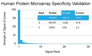 Analysis of HuProt(TM) microarray containing more than 19,000 full-length human proteins using S100A4 antibody (clone S100A4/1481). These results demonstrate the foremost specificity of the S100A4/1481 mAb.<br>Z- and S- score: The Z-score represents the strength of a signal that an antibody (in combination with a fluorescently-tagged anti-IgG secondary Ab) produces when binding to a particular protein on the HuProt(TM) array. Z-scores are described in units of standard deviations (SD's) above the mean value of all signals generated on that array. If the targets on the HuProt(TM) are arranged in descending order of the Z-score, the S-score is the difference (also in units of SD's) between the Z-scores. The S-score therefore represents the relative target specificity of an Ab to its intended target.