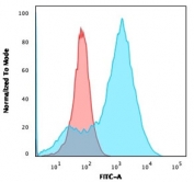 Flow cytometry testing of human A549 cells with S100A4 antibody (clone S100A4/1482); Red=isotype control, Blue= S100A4 antibody.