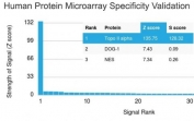 Analysis of HuProt(TM) microarray containing more than 19,000 full-length human proteins using Topoisomerase II alpha antibody (clone TOP2A/1361). These results demonstrate the foremost specificity of the TOP2A/1361 mAb. Z- and S- score: The Z-score represents the strength of a signal that an antibody (in combination with a fluorescently-tagged anti-IgG secondary Ab) produces when binding to a particular protein on the HuProt(TM) array. Z-scores are described in units of standard deviations (SD's) above the mean value of all signals generated on that array. If the targets on the HuProt(TM) are arranged in descending order of the Z-score, the S-score is the difference (also in units of SD's) between the Z-scores. The S-score therefore represents the relative target specificity of an Ab to its intended target.