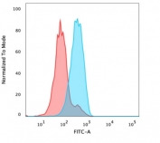 FACS testing of PFA-fixed human MCF-7 cells with FOXA1 antibody (clone FOXA1/1241); Red=isotype control, Blue= FOXA1 antibody.