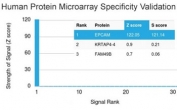 Analysis of HuProt(TM) microarray containing more than 19,000 full-length human proteins using Ep-CAM antibody (clone EGP40/1798). These results demonstrate the foremost specificity of the EGP40/1798 mAb. Z- and S- score: The Z-score represents the strength of a signal that an antibody (in combination with a fluorescently-tagged anti-IgG secondary Ab) produces when binding to a particular protein on the HuProt(TM) array. Z-scores are described in units of standard deviations (SD's) above the mean value of all signals generated on that array. If the targets on the HuProt(TM) are arranged in descending order of the Z-score, the S-score is the difference (also in units of SD's) between the Z-scores. The S-score therefore represents the relative target specificity of an Ab to its intended target.