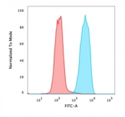 Flow cytometry testing of PFA-fixed human MCF7 cells with recombinant Ep-CAM antibody (clone rVU-1D9); Red=isotype control, Blue= recombinant Ep-CAM antibody.