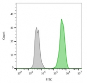 Flow cytometry testing of live human MCF7 cells with recombinant Ep-CAM antibody (clone rVU-1D9); Gray=unstained cells, Green= recombinant Ep-CAM antibody stained cells.
