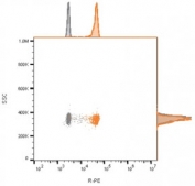 Flow cytometry analysis of bead-bound exosomes derived from MCF-7 cells using  CD81 antibody (clone 1.3.3.22). Gray=unstained cells, Orange = CD81 antibody.