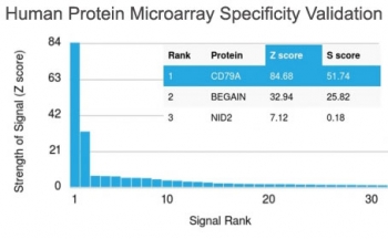 Analysis of HuProt(TM) microarray containing more than 19,000 full-length human proteins using CD79a antibody (clone IGA/1790R). These results demonstrate the foremost specificity of the IGA/1790R mAb.<BR>Z- and S- score: The Z-score represents the strength of a signal that an antibody (in combination with a fluorescently-tagged anti-IgG secondary Ab) produces when binding to a particular protein on the HuProt(TM) array. Z-scores are described in units of standard deviations (SD's) above the mean value of all signals generated on that array. If the targets on the HuProt(TM) are arranged in descending order of the Z-score, the S-score is the difference (also in units of SD's) between the Z-scores. The S-score therefore represents the relative target specificity of an Ab to its intended target.