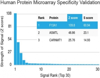 Protein array validation of the Factor XIIIa antibody: Analysis of HuProt(TM) microarray containing more than 19,000 full-length human proteins using Factor XIIIa antibody (clone F13A1/1683). These results demonstrate the foremost specificity of the F13A1/1683 mAb.<P><P>Z- and S- score: The Z-score represent