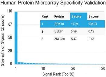 Protein array validation of the SOX10 antibody: Analysis of HuProt(TM) microarray containing more than 19,000 full-length human proteins using SOX10 antibody (clone SBX10-1). These results demonstrate the foremost specificity of the SBX10-1 mAb.<P><P>Z- and S- score: The Z-score represents the strength of a