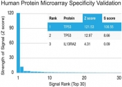 Protein array validation of the p53 antibody: Analysis of HuProt(TM) microarray containing more than 19,000 full-length human proteins using p53 antibody (clone PAb 122). Z- and S- score: The Z-score represents the strength of a signal that an antibody (in combination with a fluorescently-tagged anti-IgG secondary Ab) produces when binding to a particular protein on the HuProt(TM) array. Z-scores are described in units of standard deviations (SD's) above the mean value of all signals generated on that array. If the targets on the HuProt(TM) are arranged in descending order of the Z-score, the S-score is the difference (also in units of SD's) between the Z-scores. The S-score therefore represents the relative target specificity of an Ab to its intended target. 