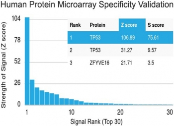 Protein array validation of the recombinant p53 antibody: Analysis of HuProt(TM) microarray containing more than 19,000 full-length human proteins using recombinant p53 antibody (clone TP53/1799R).<P><P>Z- and S- score: The Z-score represents the strength of a signal that an antibody (in combination with a fluorescently-tagged anti-IgG secondary Ab) produces when binding to a particular protein on the HuProt(TM) array. Z-scores are described in units of standard deviations (SD's) above the mean value of all signals generated on that array. If the targets on the HuProt(TM) are arranged in descending order of the Z-score, the S-score is the difference (also in units of SD's) between the Z-scores. The S-score therefore represents the relative target specificity of an Ab to its intended target.