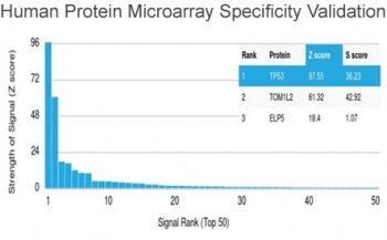 Protein array validation of the p53 antibody: Analysis of HuProt(TM) microarray containing more than 19,000 full-length human proteins using p53 antibody (clone PAb 1801).<P><P>Z- and S- score: The Z-score represents the strength of a signal that an antibody (in combination with a fluorescently-tagged anti-I