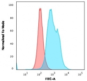 Flow cytometry testing of PFA-fixed human MOLT4 cells with TYMS antibody (clone TYMS/1884); Red=isotype control, Blue= TYMS antibody.