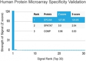 Analysis of HuProt(TM) microarray containing more than 19,000 full-length human proteins using the anti-EpCAM antibody (clone EGP40/1372). These results demonstrate the foremost specificity of the EGP40/1372 mAb. Z- and S- score: The Z-score represents the strength of a signal that an antibody (in combination with a fluorescently-tagged anti-IgG secondary Ab) produces when binding to a particular protein on the HuProt(TM) array. Z-scores are described in units of standard deviations (SD's) above the mean value of all signals generated on that array. If the targets on the HuProt(TM) are arranged in descending order of the Z-score, the S-score is the difference (also in units of SD's) between the Z-scores. The S-score therefore represents the relative target specificity of an Ab to its intended target.