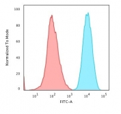 Flow cytometry testing of PFA-fixed human HeLa cells with recombinant B2M antibody (clone B2M/1857R); Red=isotype control, Blue= recombinant B2M antibody.