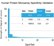 Analysis of HuProt(TM) microarray containing more than 19,000 full-length human proteins using recombinant Bcl-2 antibody (clone rBCL2/796). These results demonstrate the foremost specificity of the rBCL2/796 mAb. <BR>Z- and S- score: The Z-score represents the strength of a signal that an antibody (in combination with a fluorescently-tagged anti-IgG secondary Ab) produces when binding to a particular protein on the HuProt(TM) array. Z-scores are described in units of standard deviations (SD's) above the mean value of all signals generated on that array. If the targets on the HuProt(TM) are arranged in descending order of the Z-score, the S-score is the difference (also in units of SD's) between the Z-scores. The S-score therefore represents the relative target specificity of an Ab to its intended target.