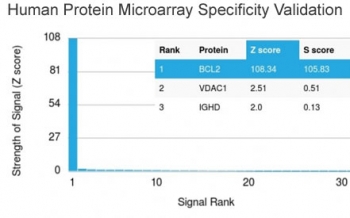 Analysis of HuProt(TM) microarray containing more than 19,000 full-length human proteins using Bcl-2 antibody (clone BCL2/2210R). These results demonstrate the foremost specificity of the BCL2/2210R mAb.<br>Z- and S- score: The Z-score represents the strength of a signal that an antibody (in combination with a fluorescently-tagged anti-IgG secondary Ab) produces when binding to a particular protein on the HuProt(TM) array. Z-scores are described in units of standard deviations (SD's) above the mean value of all signals generated on that array. If the targets on the HuProt(TM) are arranged in descending order of the Z-score, the S-score is the difference (also in units of SD's) between the Z-scores. The S-score therefore represents the relative target specificity of an Ab to its intended target.