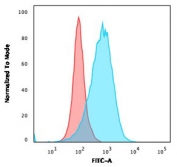 Flow cytometry testing of human Ramos cells with recombinant CD86 antibody (blue, clone C86/2160R) and isotype control (red).