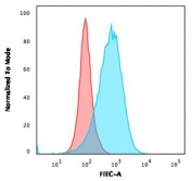 Flow cytometry testing of human Ramos cells with recombinant CD86 antibody (blue, clone C86/2160R) and isotype control (red).
