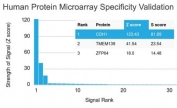 Analysis of HuProt(TM) microarray containing more than 19,000 full-length human proteins using recombinant E-Cadherin antibody (clone rCDH1/1525). These results demonstrate the foremost specificity of the rCDH1/1525 mAb. Z- and S- score: The Z-score represents the strength of a signal that an antibody (in combination with a fluorescently-tagged anti-IgG secondary Ab) produces when binding to a particular protein on the HuProt(TM) array. Z-scores are described in units of standard deviations (SD's) above the mean value of all signals generated on that array. If the targets on the HuProt(TM) are arranged in descending order of the Z-score, the S-score is the difference (also in units of SD's) between the Z-scores. The S-score therefore represents the relative target specificity of an Ab to its intended target.