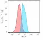 Flow cytometry testing of human MCF7 cells with recombinant E-Cadherin antibody (clone CDH1/2208R); Red=isotype control, Blue= recombinant E-Cadherin antibody.