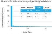 Analysis of HuProt(TM) microarray containing more than 19,000 full-length human proteins using recombinant EpCAM antibody (clone rEGP40/1372). These results demonstrate the foremost specificity of the rEGP40/1372 mAb. Z- and S- score: The Z-score represents the strength of a signal that an antibody (in combination with a fluorescently-tagged anti-IgG secondary Ab) produces when binding to a particular protein on the HuProt(TM) array. Z-scores are described in units of standard deviations (SD's) above the mean value of all signals generated on that array. If the targets on the HuProt(TM) are arranged in descending order of the Z-score, the S-score is the difference (also in units of SD's) between the Z-scores. The S-score therefore represents the relative target specificity of an Ab to its intended target.