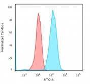Flow cytometry testing of human Raji cells with recombinant CD79a antibody (clone rIGA/764); Red=isotype control, Blue= CD79a antibody.