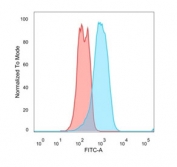 Flow cytometry staining of PFA-fixed human MCF7 cells with recombinant Estrogen Receptor antibody; Red=isotype control, Blue= recombinant Estrogen Receptor antibody.