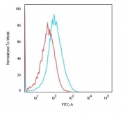 Flow cytometry testing of human HEK293 cells with recombinant Cadherin 16 antibody (clone rCDH16/1071); Red=isotype control, Blue= recombinant Cadherin 16 antibody.