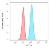 Flow cytometry testing of fixed human T98G cells with recombinant GFAP antibody (clone ASTRO/1974R); Red=isotype control, Blue= recombinant GFAP antibody.