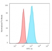 Flow cytometry testing of fixed human T98G cells with recombinant Glial Fibrillary Acidic Protein antibody (clone rASTRO/789); Red=isotype control, Blue= recombinant Glial Fibrillary Acidic Protein antibody.