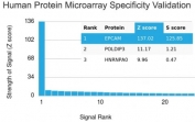Analysis of HuProt(TM) microarray containing more than 19,000 full-length human proteins using recombinant EpCAM antibody (clone rEGP40/1110). These results demonstrate the foremost specificity of the rEGP40/1110 mAb.<BR>Z- and S- score: The Z-score represents the strength of a signal that an antibody (in combination with a fluorescently-tagged anti-IgG secondary Ab) produces when binding to a particular protein on the HuProt(TM) array. Z-scores are described in units of standard deviations (SD's) above the mean value of all signals generated on that array. If the targets on the HuProt(TM) are arranged in descending order of the Z-score, the S-score is the difference (also in units of SD's) between the Z-scores. The S-score therefore represents the relative target specificity of an Ab to its intended target.
