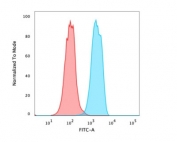 FACS testing of PFA-fixed human MCF-7 cells with recombinant FOXA1 antibody (clone rFOXA1/1515); Red=isotype control, Blue= FOXA1 antibody.