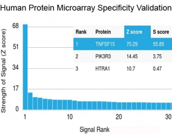 Analysis of HuProt(TM) microarray containing more than 19,000 full-length human proteins using recombinant TNFSF15 antibody (clone VEGI/2052R). These results demonstrate the foremost specificity of the VEGI/2052R mAb.<BR>Z- and S- score: The Z-score represents the strength of a signal that an antibody (in combination with a fluorescently-tagged anti-IgG secondary Ab) produces when binding to a particular protein on the HuProt(TM) array. Z-scores are described in units of standard deviations (SD's) above the mean value of all signals generated on that array. If the targets on the HuProt(TM) are arranged in descending order of the Z-score, the S-score is the difference (also in units of SD's) between the Z-scores. The S-score therefore represents the relative target specificity of an Ab to its intended target.