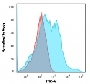 Flow cytometry testing of permeabilized human HEK293 cells with recombinant Neurofilament antibody (clone rNF421); Red=isotype control, Blue= recombinant Neurofilament antibody.