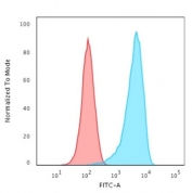 Flow cytometry testing of human K562 cells with recombinant CD43 antibody (clone rSPN/1094); Red=isotype control, Blue= CD43 antibody.