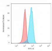 Flow cytometry testing of permeabilized human T98G cells with recombinant PGP9.5 antibody (clone rUCHL1/775); Red=isotype control, Blue= recombinant PGP9.5 antibody.