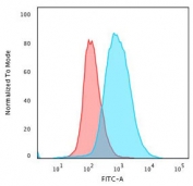 Flow cytometry testing of human Ramos cells with recombinant CD86 antibody (blue, clone CDLA86-2R) and isotype control (red).