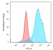 Flow cytometry testing of PFA-fixed human HeLa cells with recombinant Histone H1 antibody (clone OSHT-3R); Red=isotype control, Blue= recombinant Histone H1 antibody.