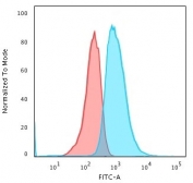 Flow cytometry testing of human MCF7 cells with recombinant E-Cadherin antibody (clone ECD1-3R); Red=isotype control, Blue= recombinant E-Cadherin antibody.